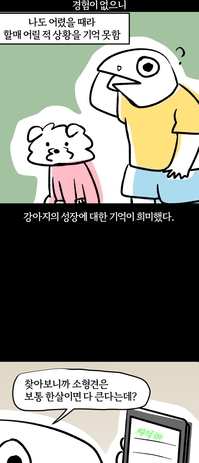 5 페이지