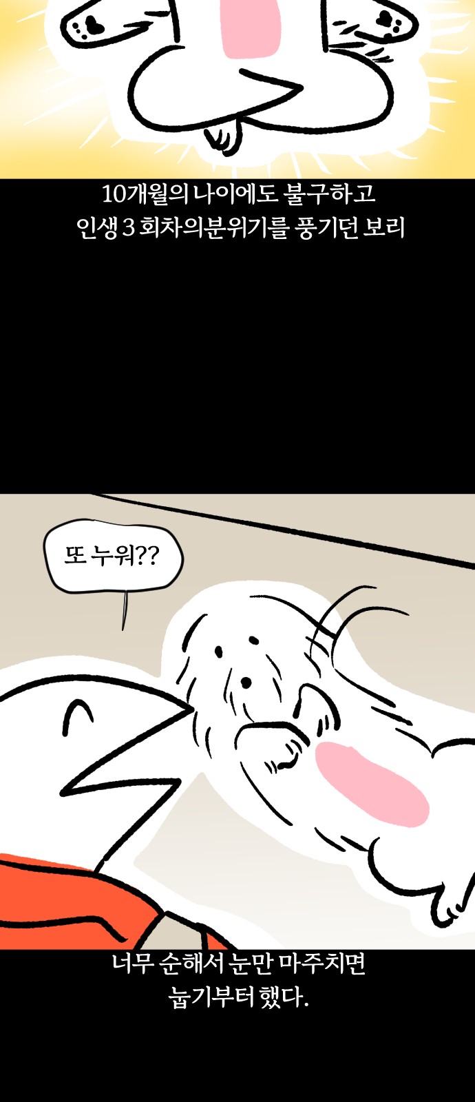 16 페이지