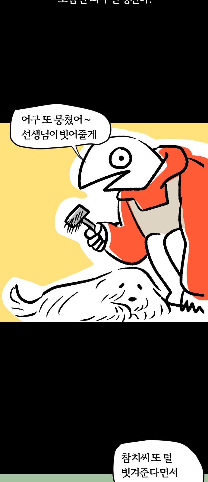 19 페이지