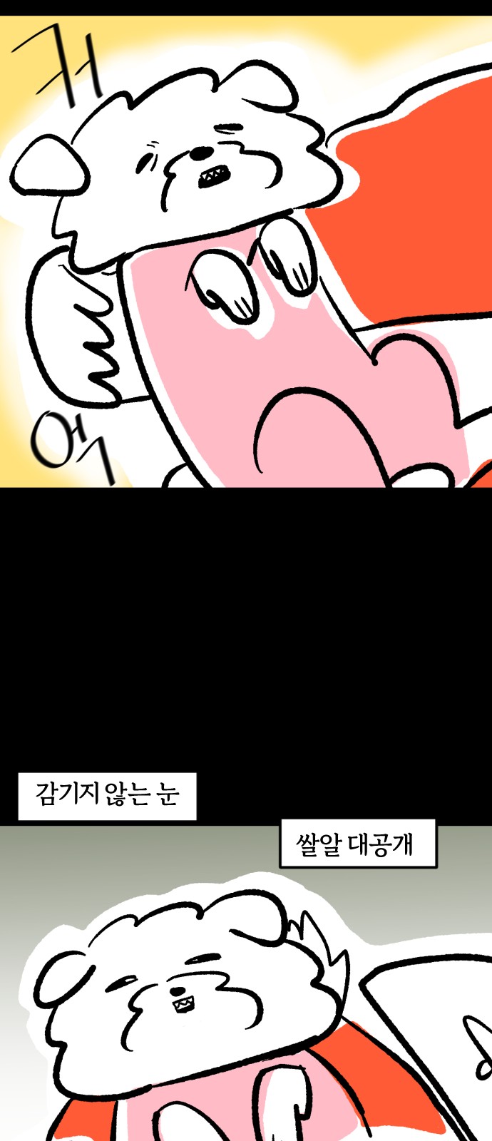 13 페이지