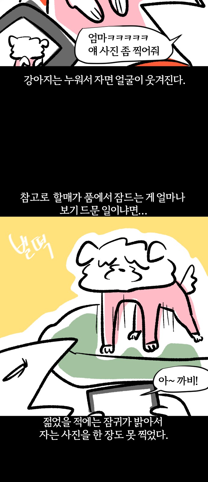 14 페이지