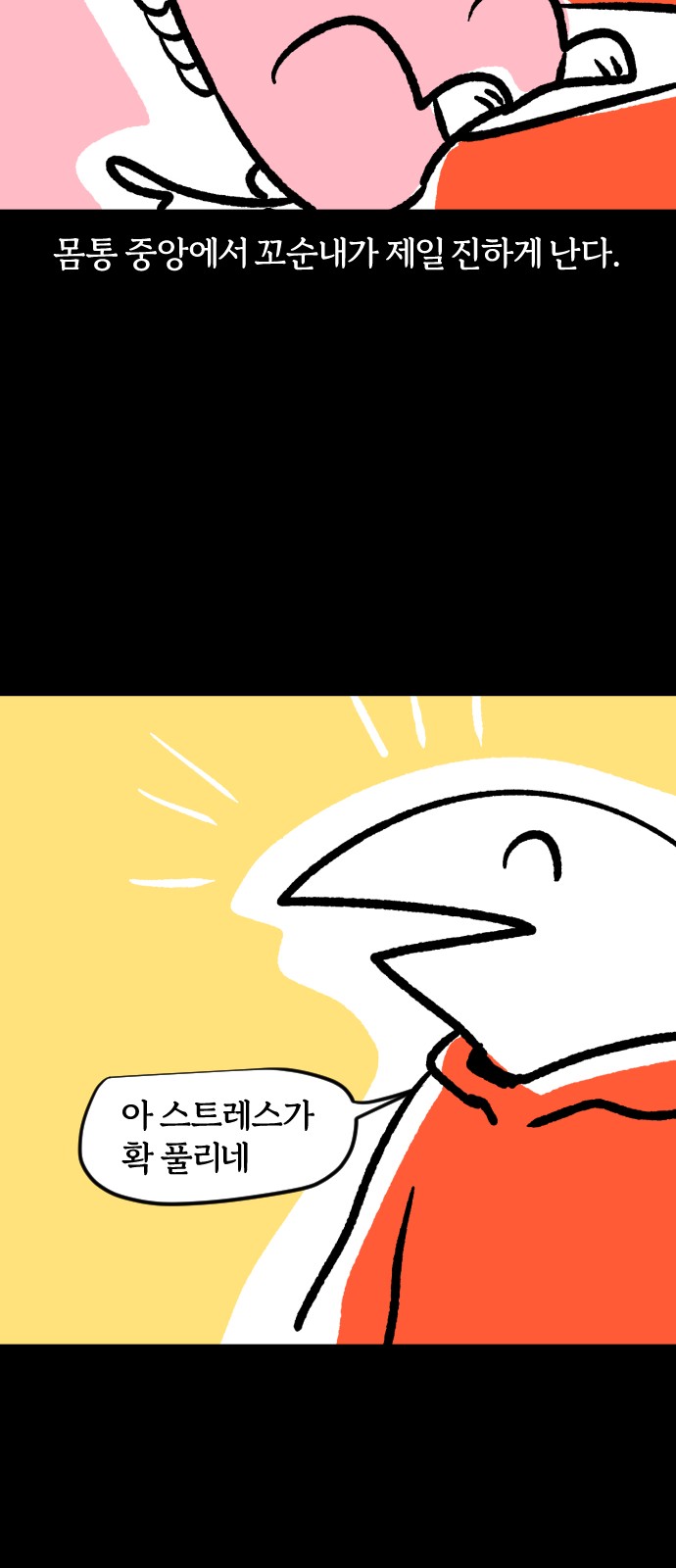 19 페이지
