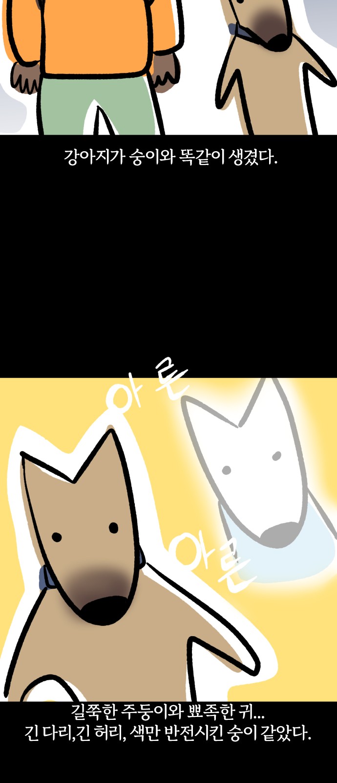 11 페이지