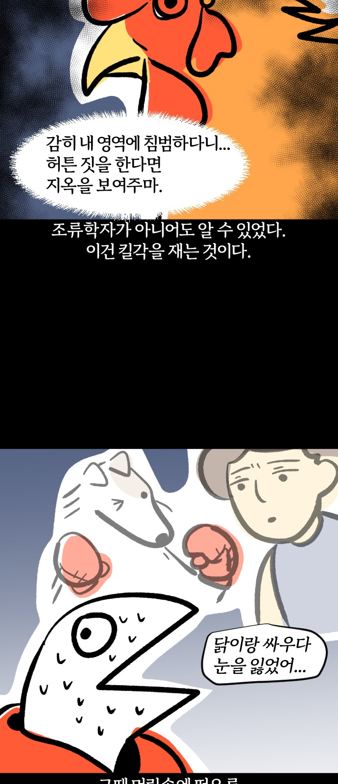 18 페이지