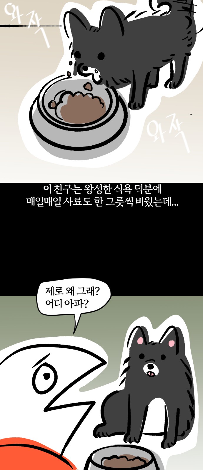 13 페이지