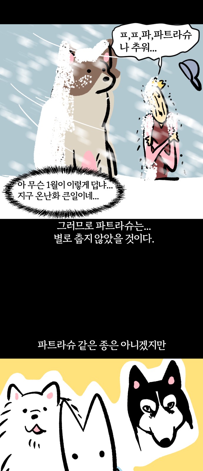 19 페이지