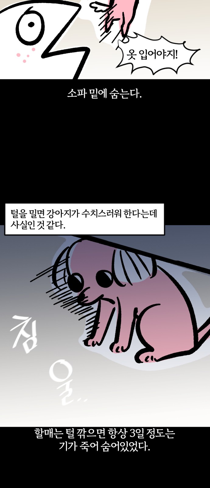 11 페이지
