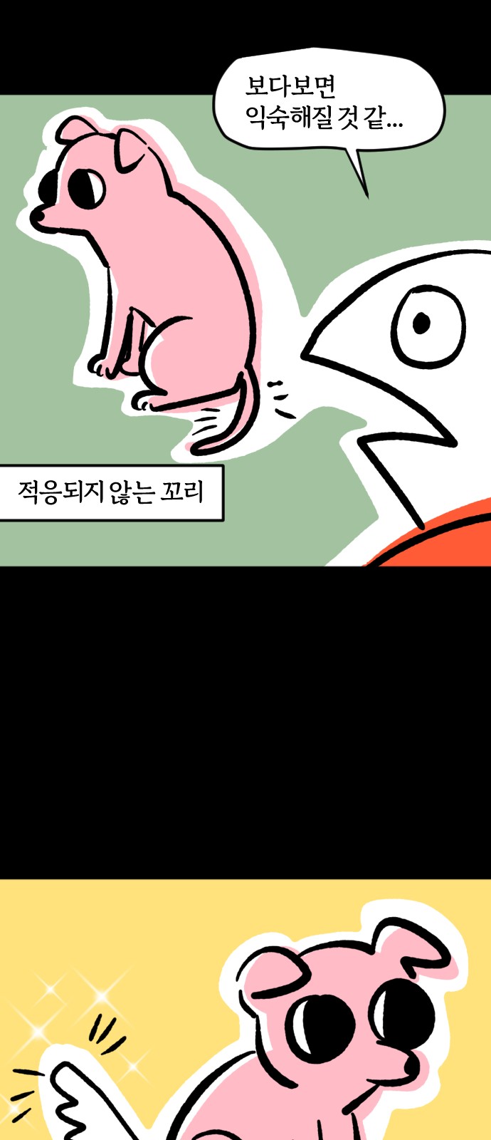 19 페이지