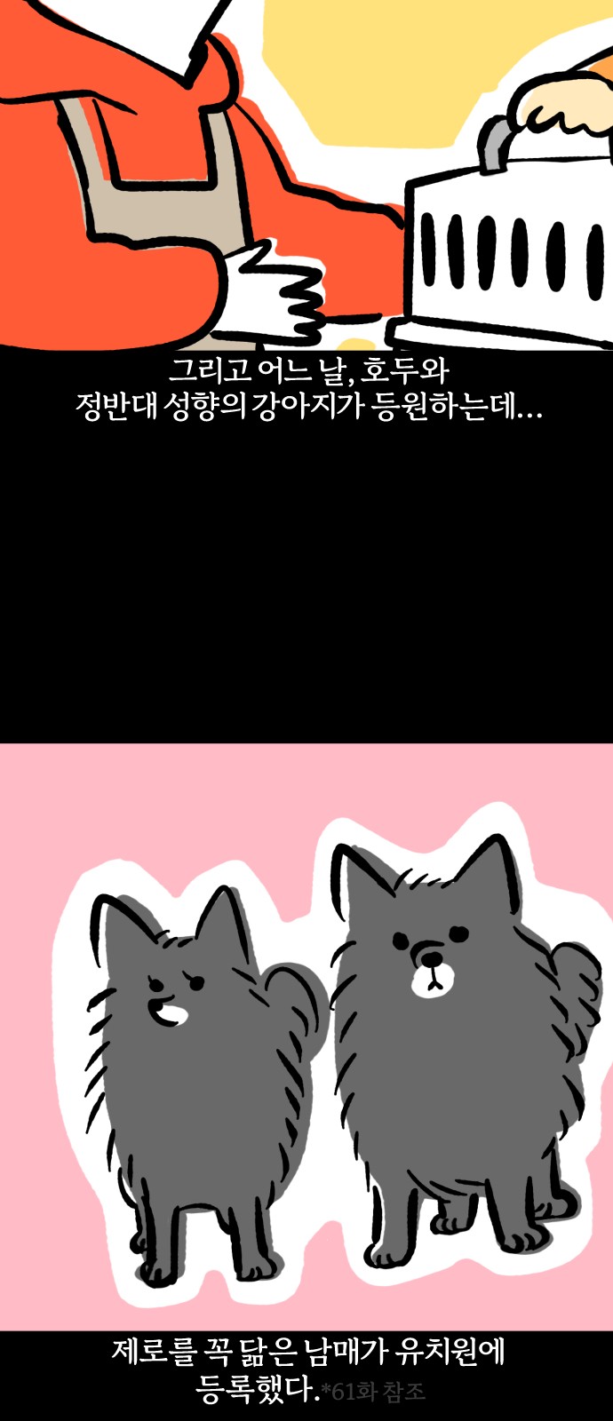 11 페이지