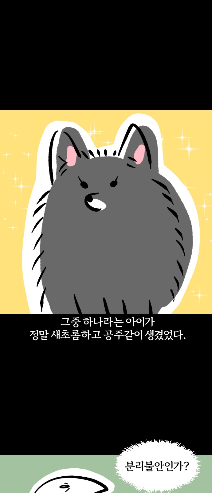12 페이지