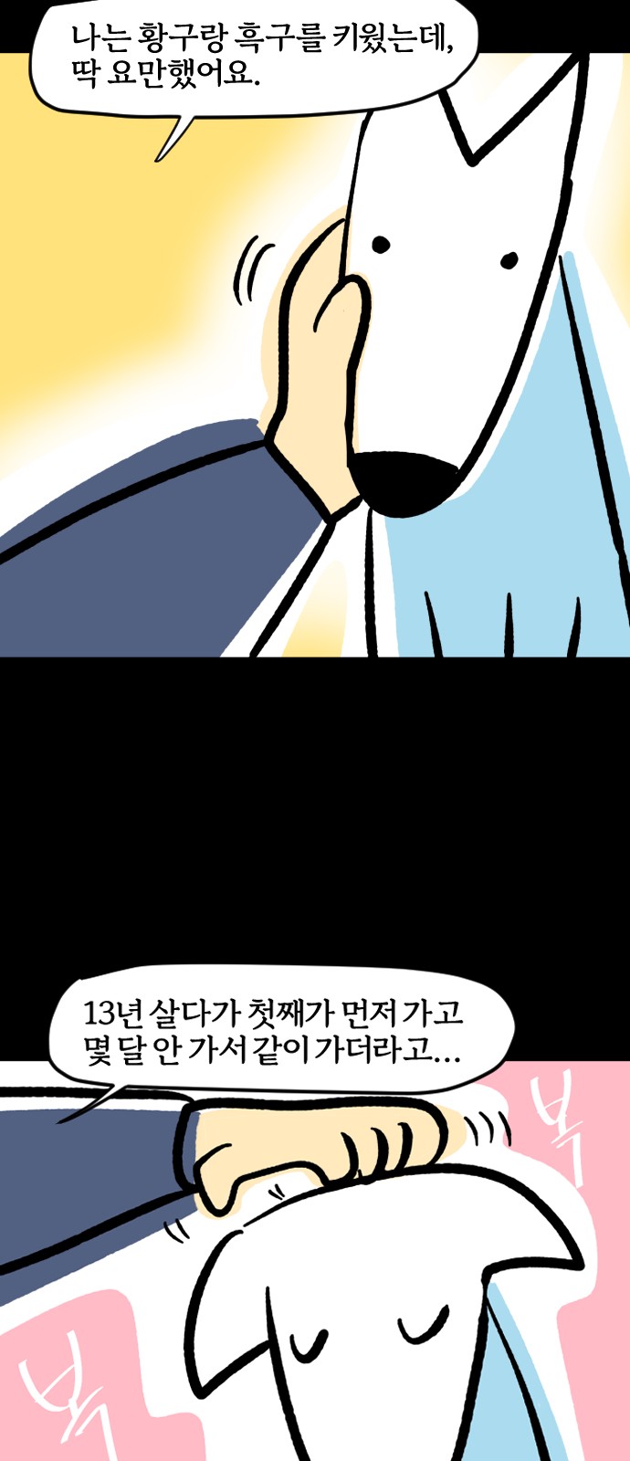 14 페이지