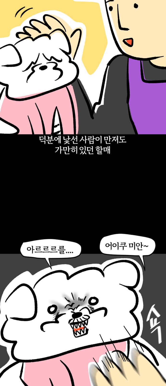 19 페이지