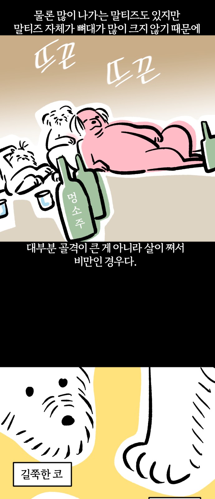 12 페이지