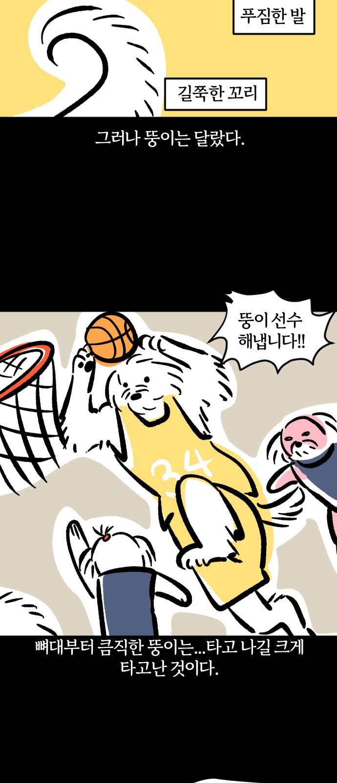 13 페이지