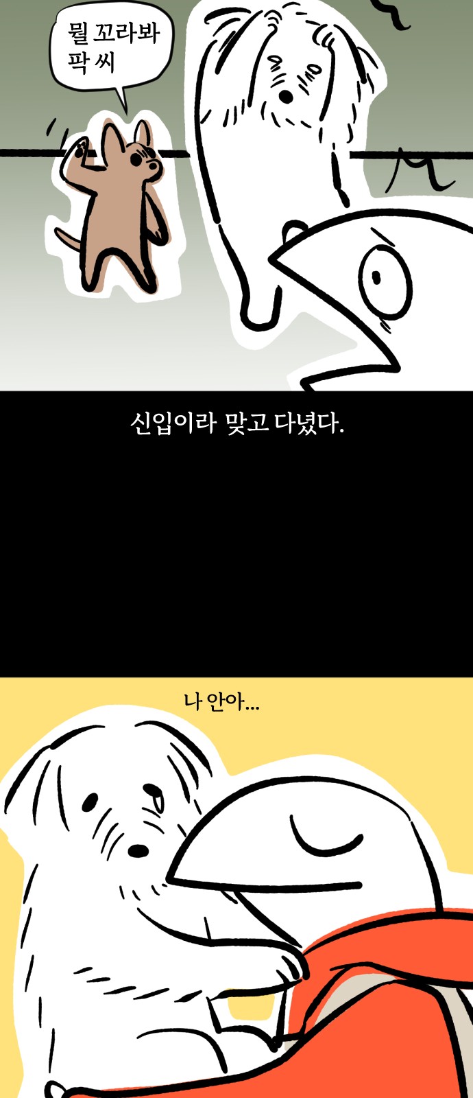 19 페이지