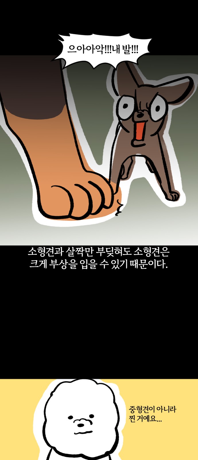5 페이지
