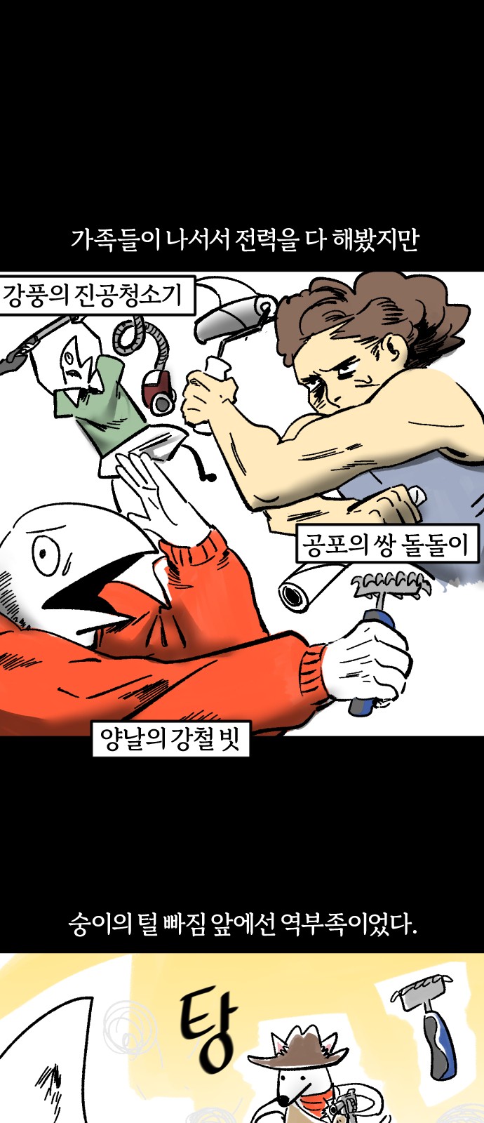 13 페이지