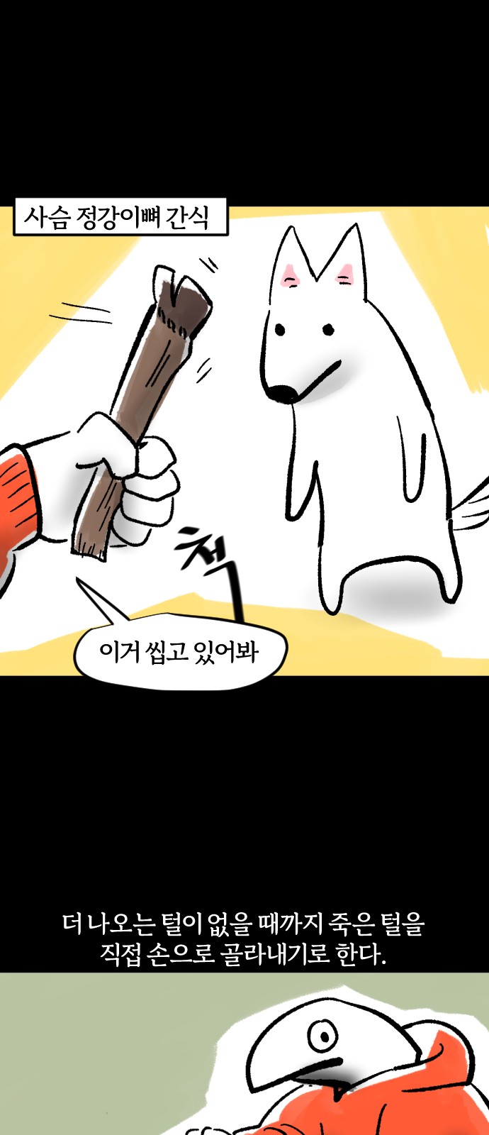 15 페이지