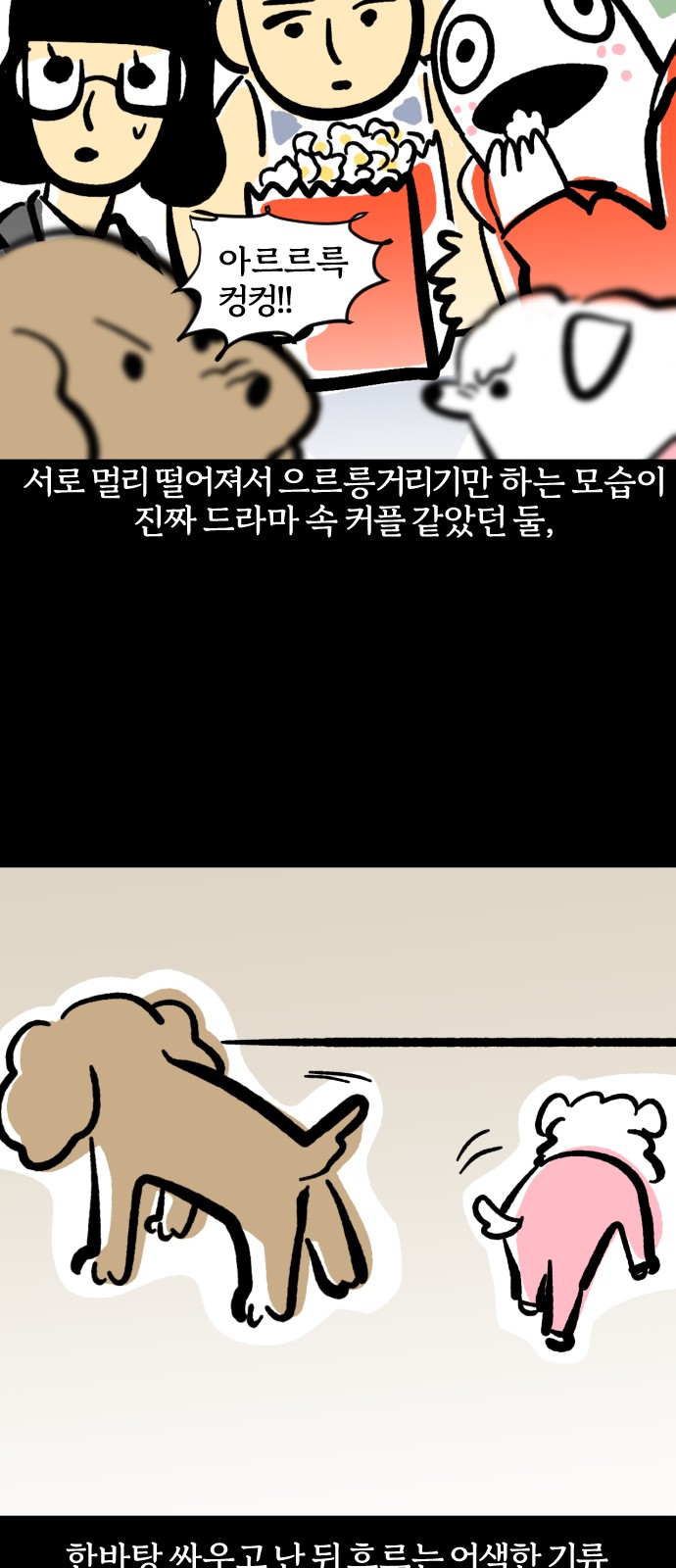 17 페이지