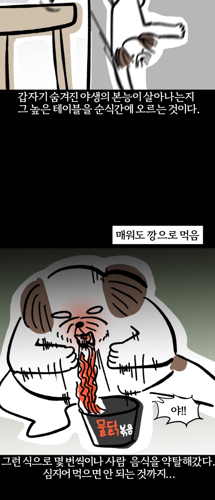13 페이지