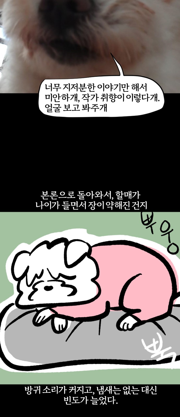 13 페이지