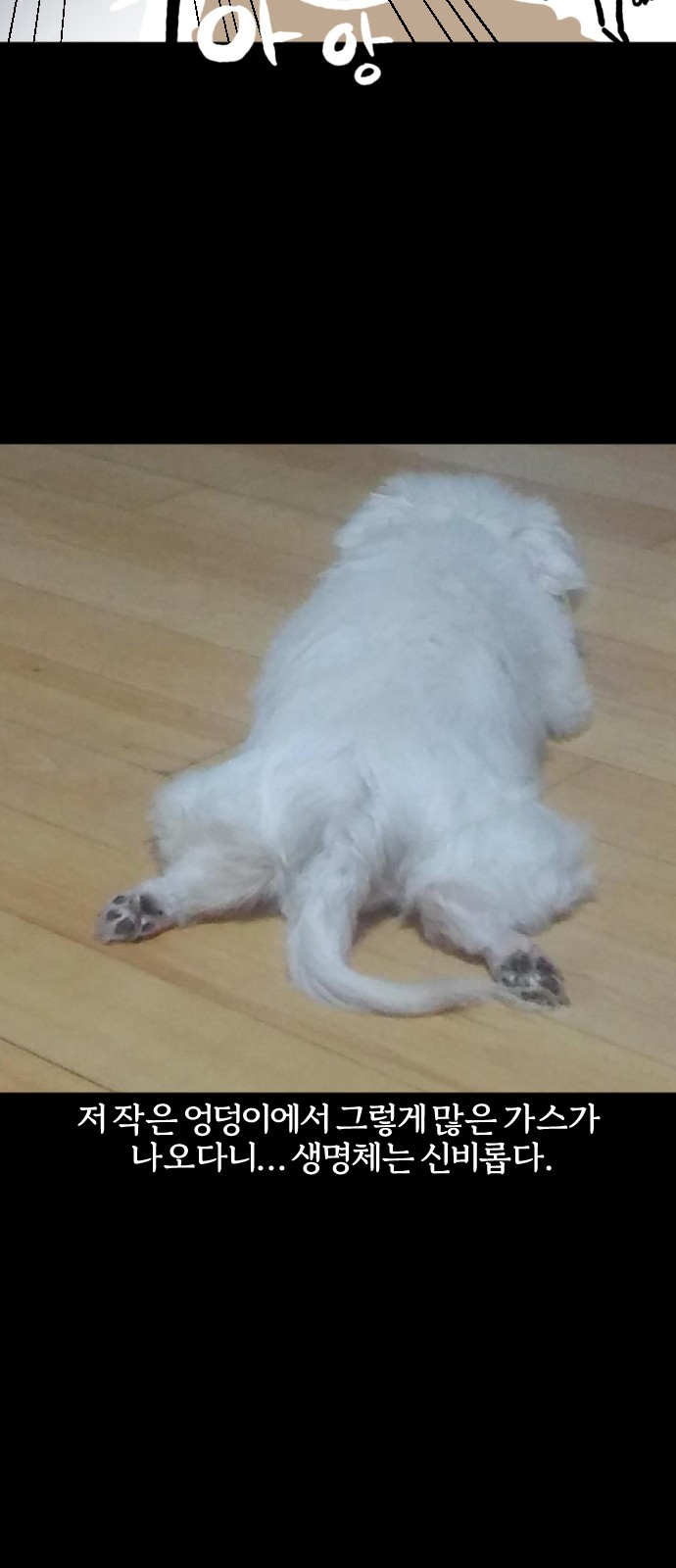 20 페이지