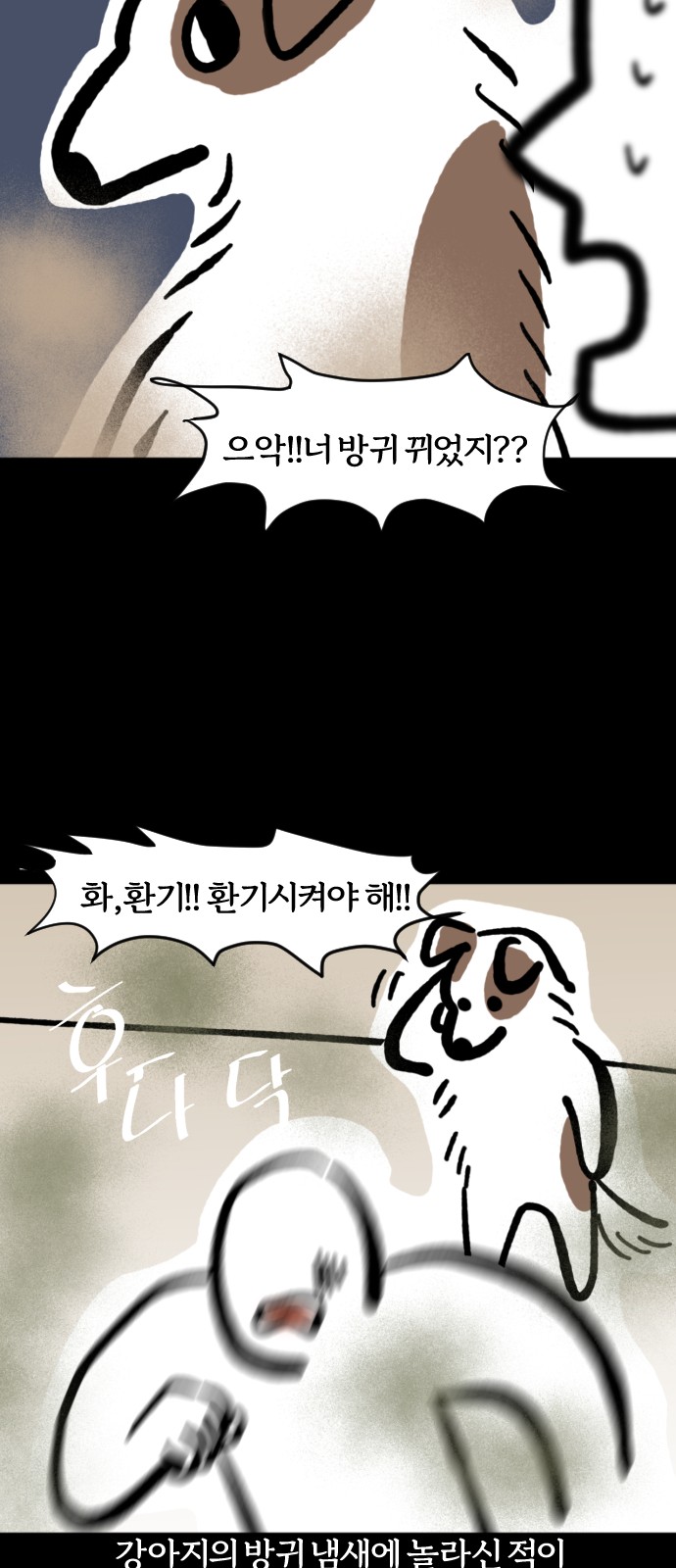6 페이지