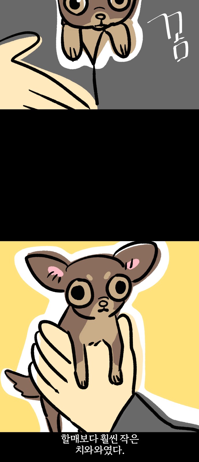 11 페이지