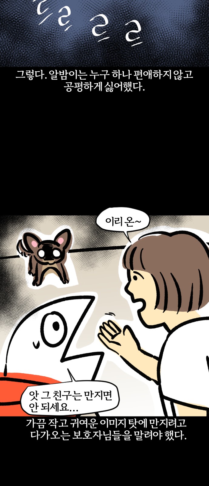 14 페이지