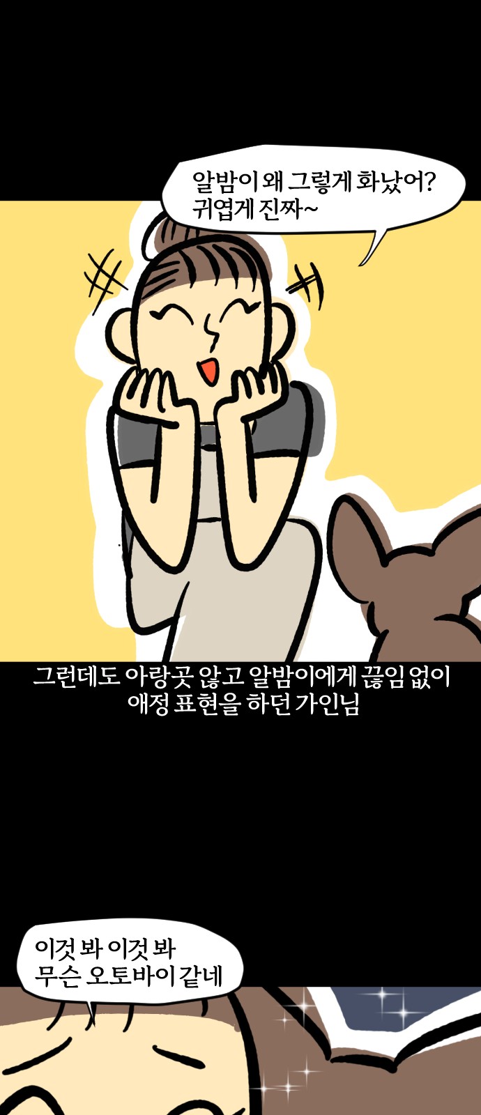 15 페이지