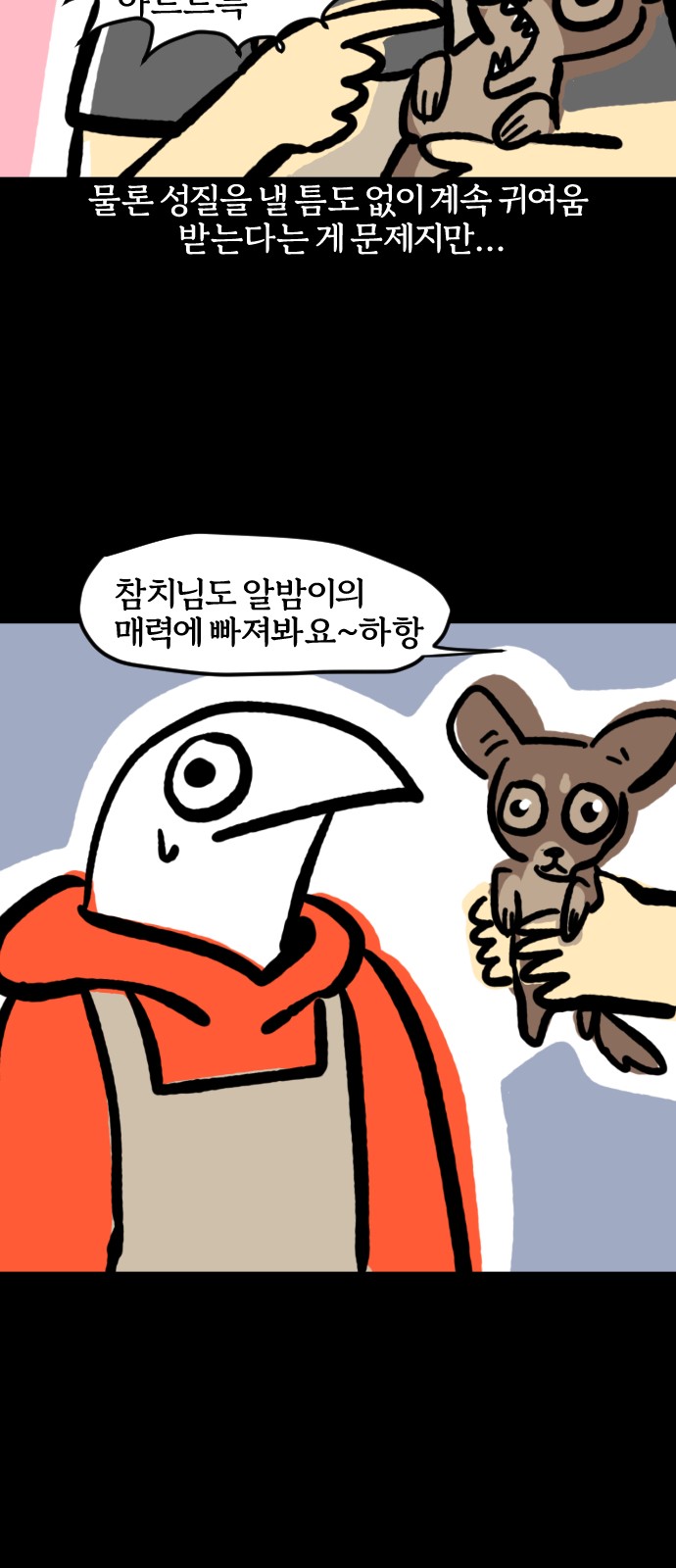 19 페이지