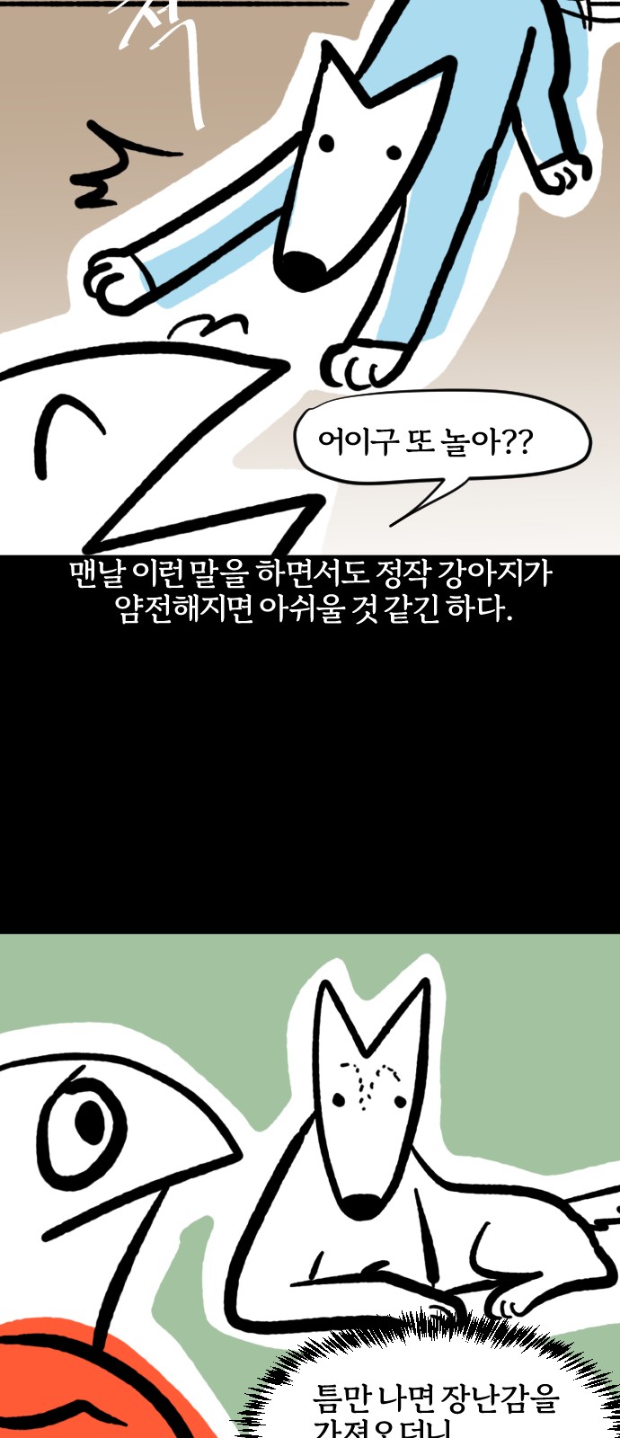 17 페이지