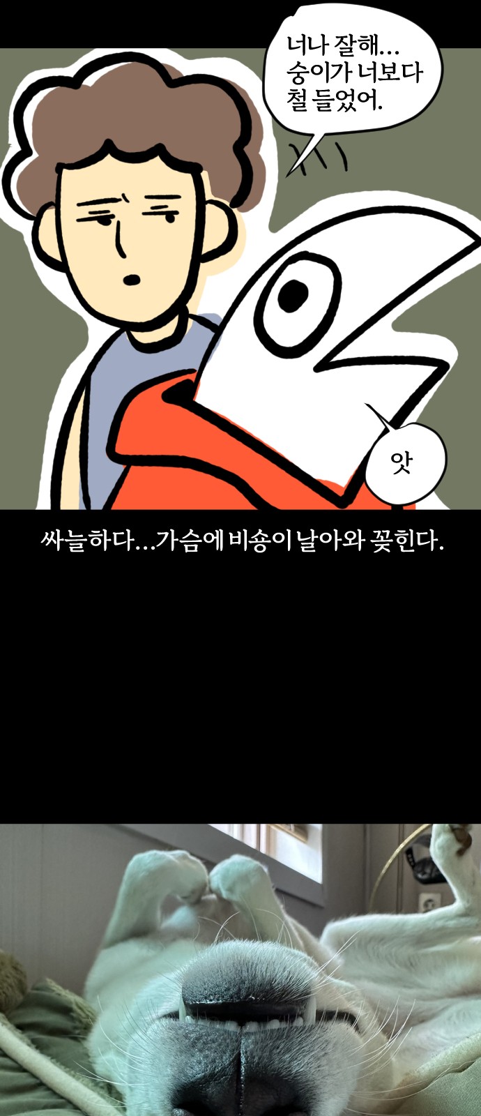 19 페이지