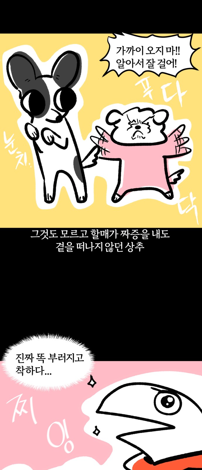 17 페이지