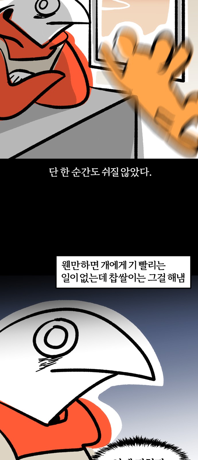 13 페이지