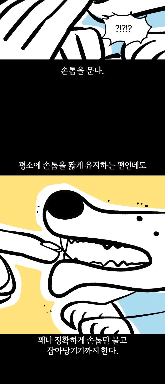 11 페이지
