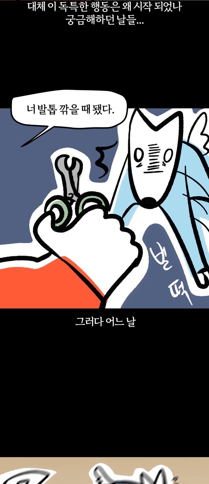 14 페이지