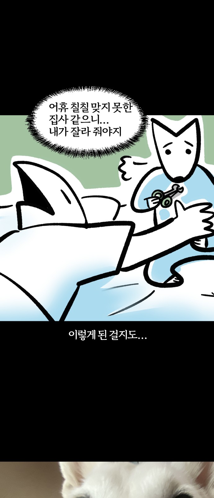 19 페이지