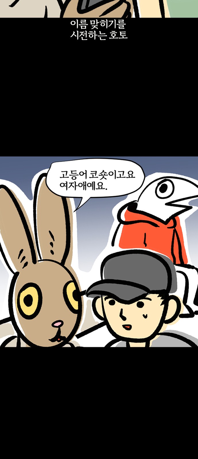 11 페이지