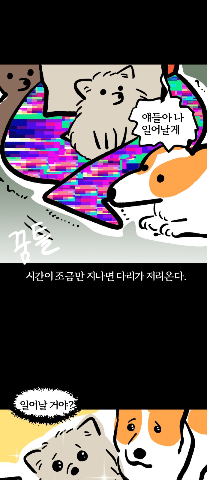 19 페이지