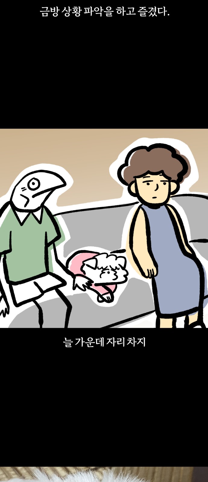 19 페이지