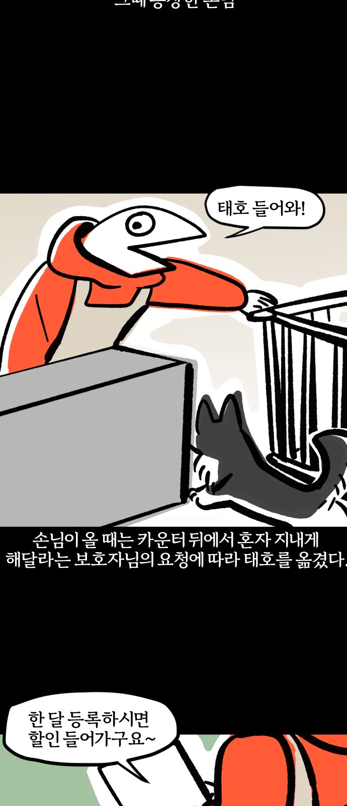 13 페이지