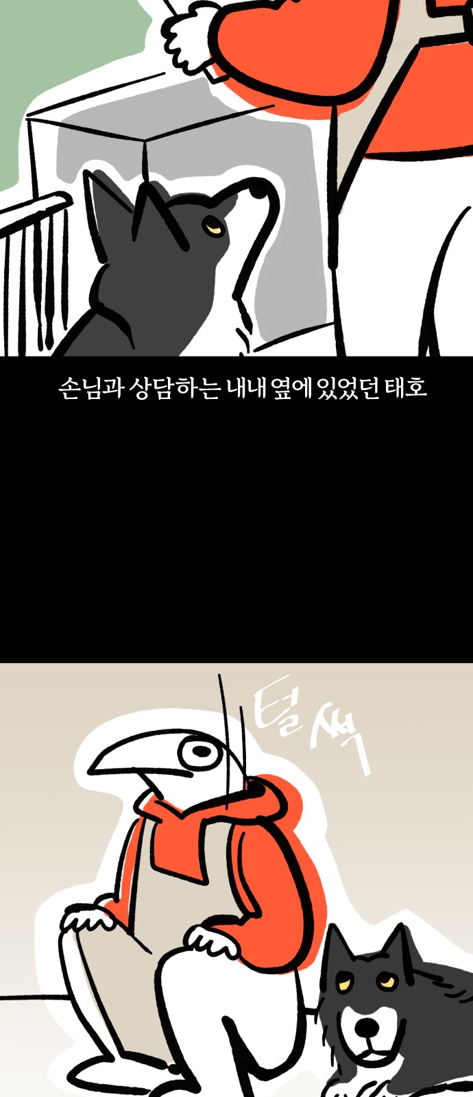 14 페이지