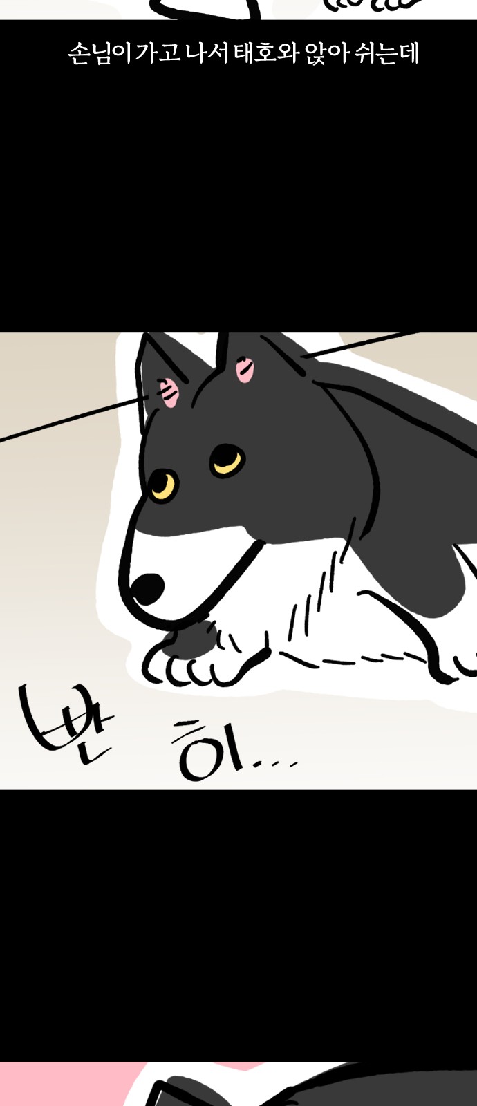 15 페이지