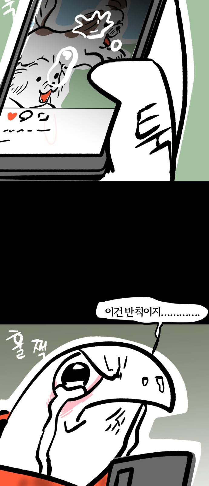 11 페이지