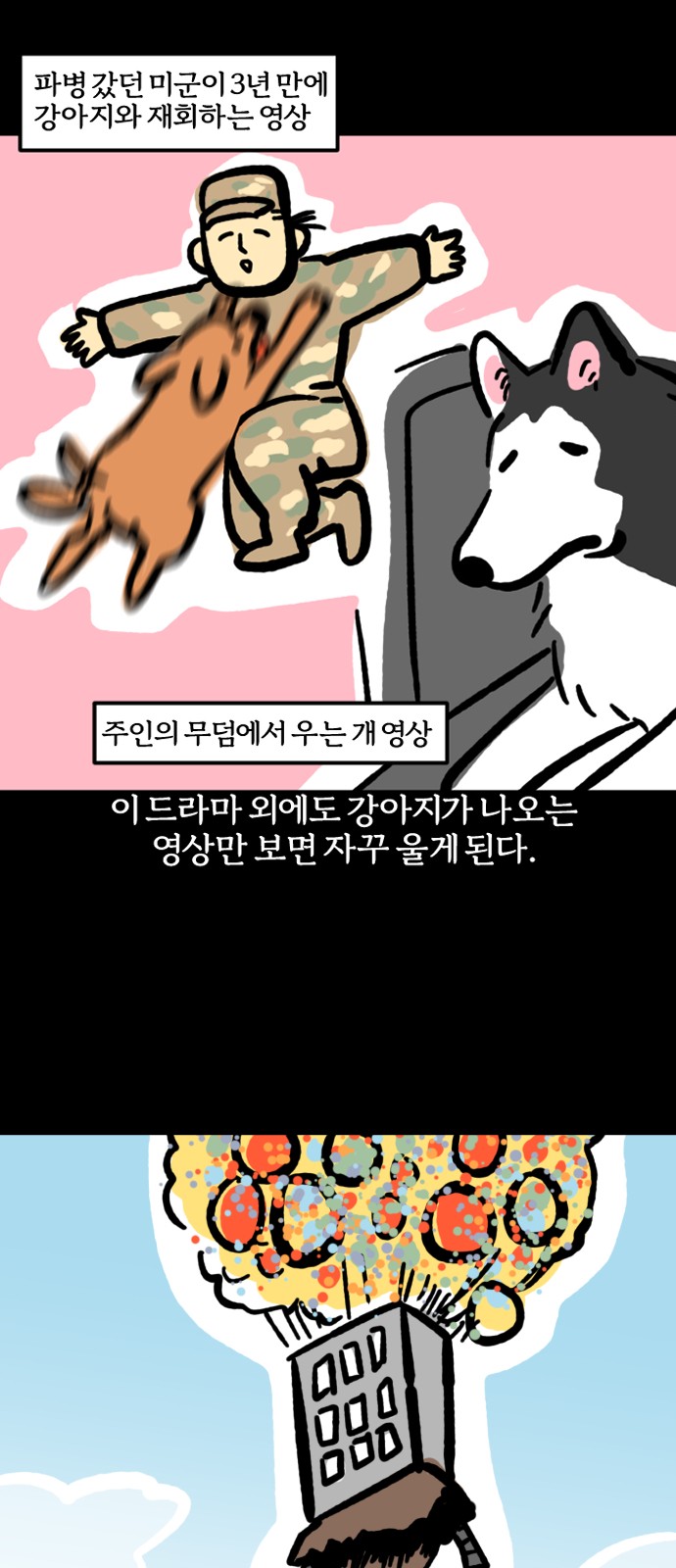 13 페이지