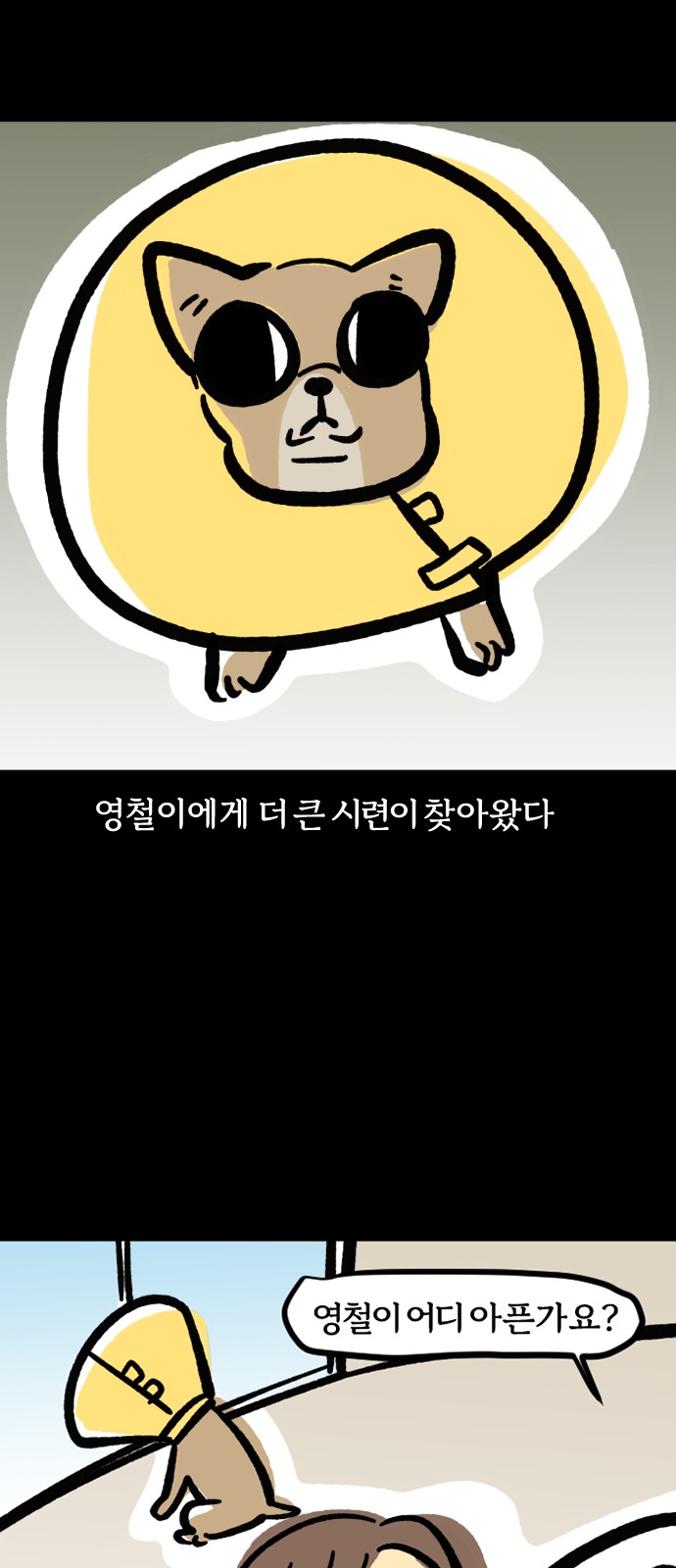 17 페이지