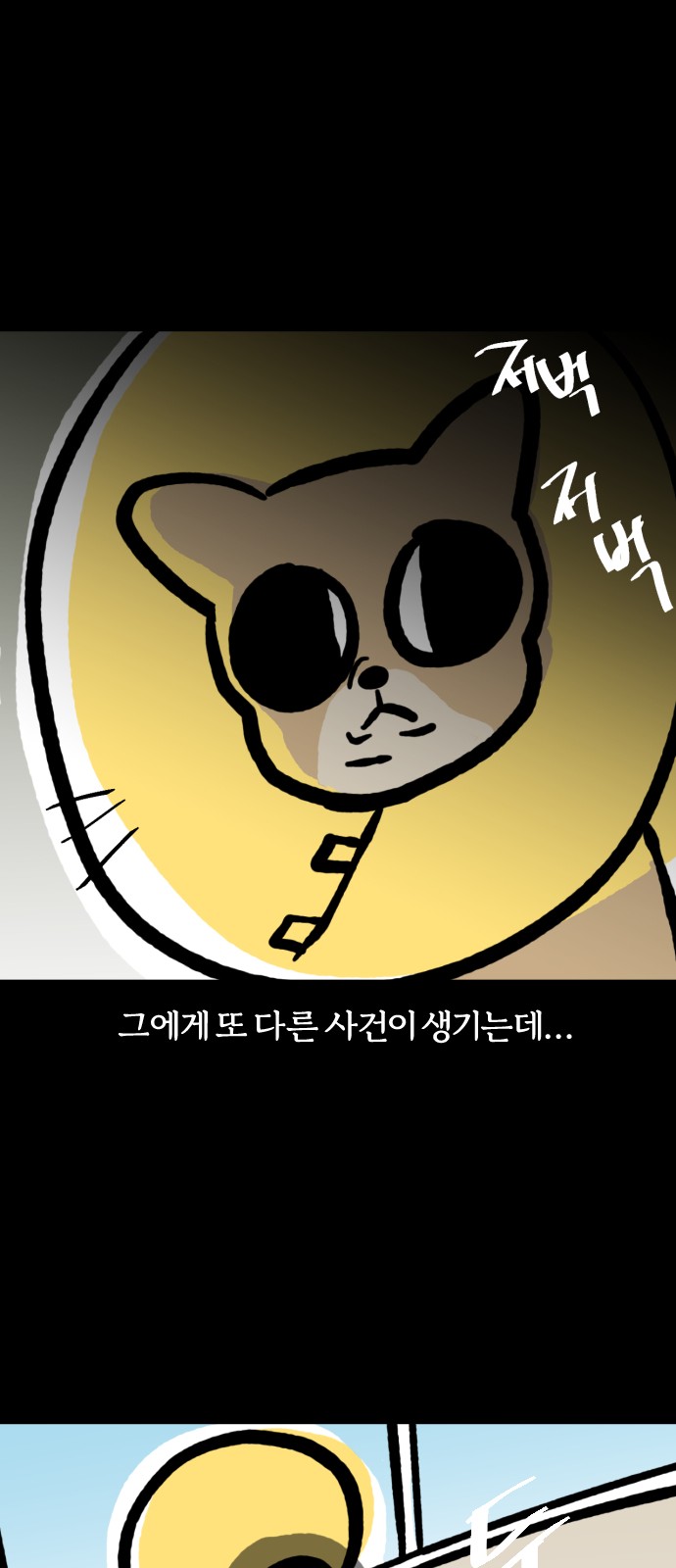 19 페이지