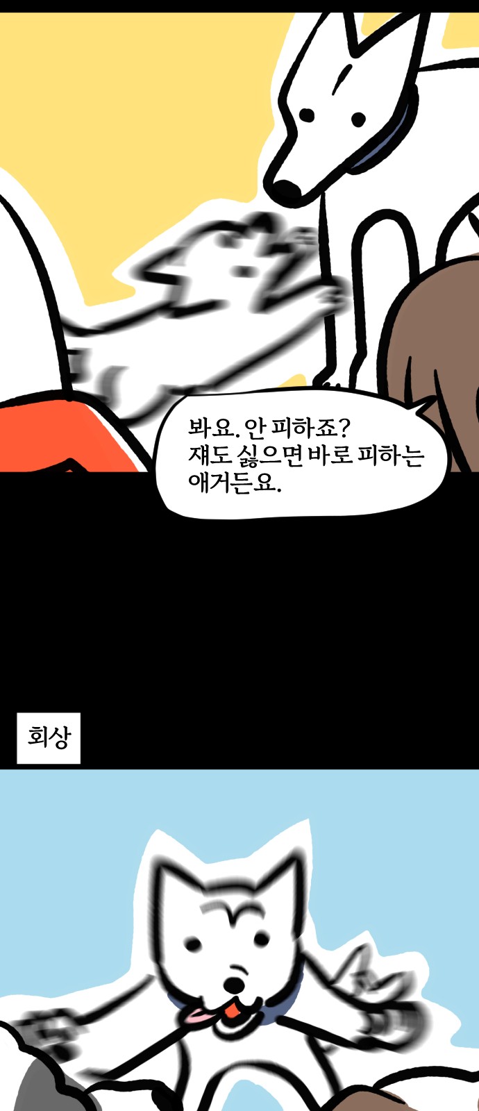 12 페이지