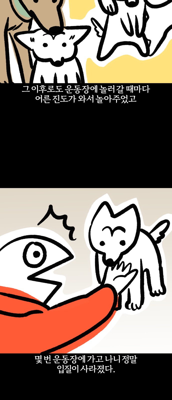 17 페이지